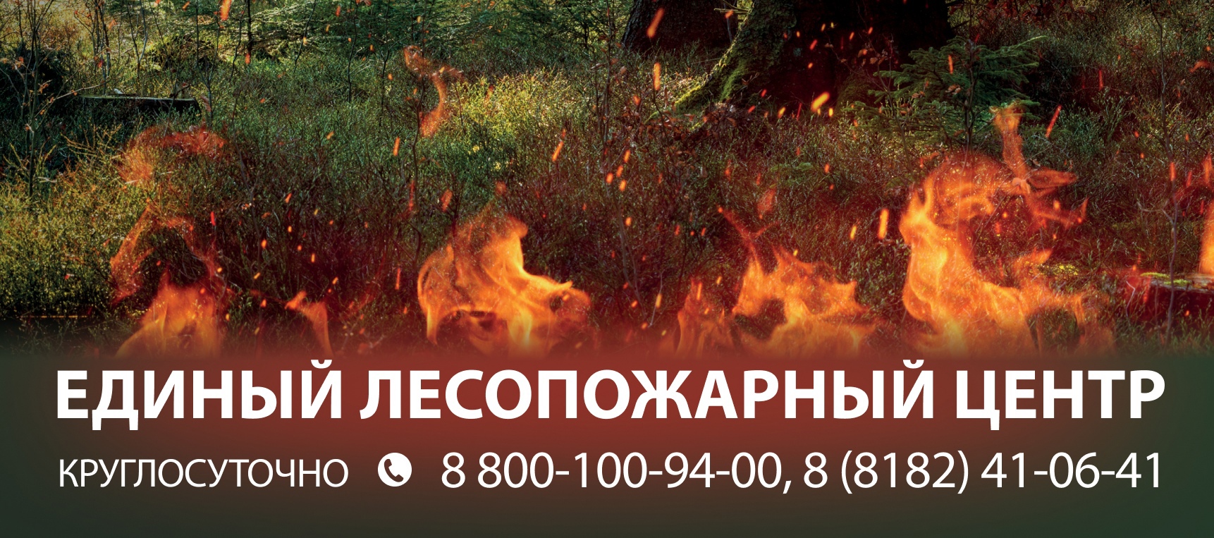 Диспетчерская служба Единого лесопожарного центра работает круглосуточно.